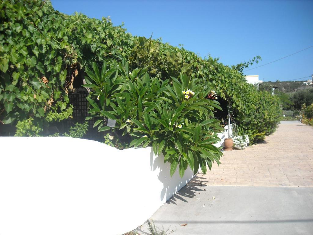 Level Houses Kefalos  Exterior photo